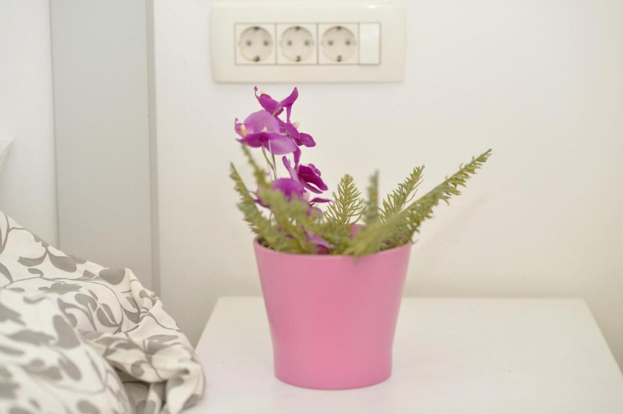 קוטור Central Apartment Njegoseva 214 מראה חיצוני תמונה